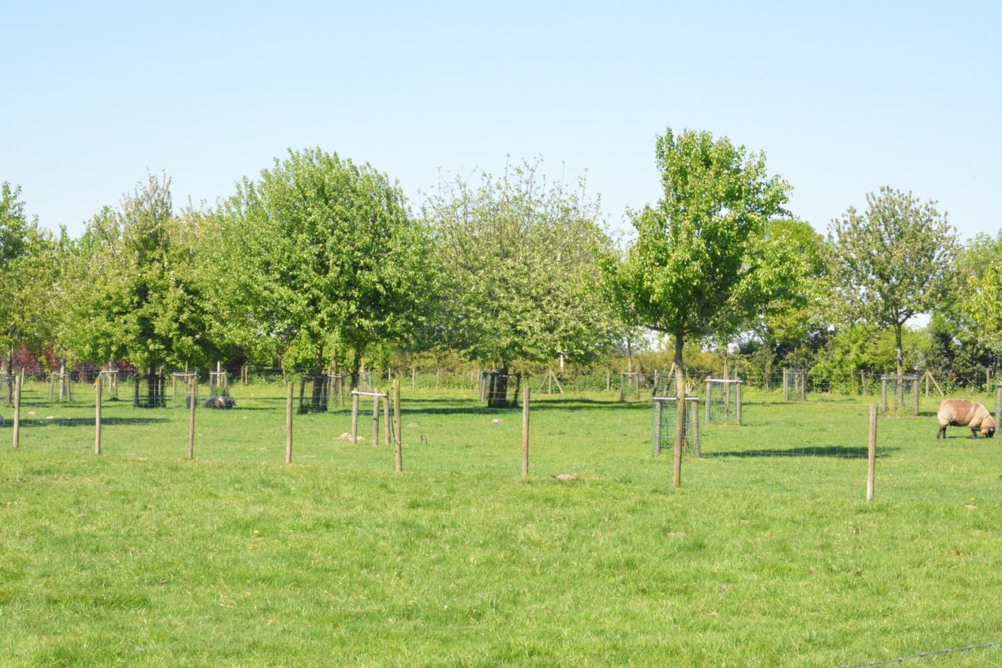 Ter Velt Bed & Breakfast